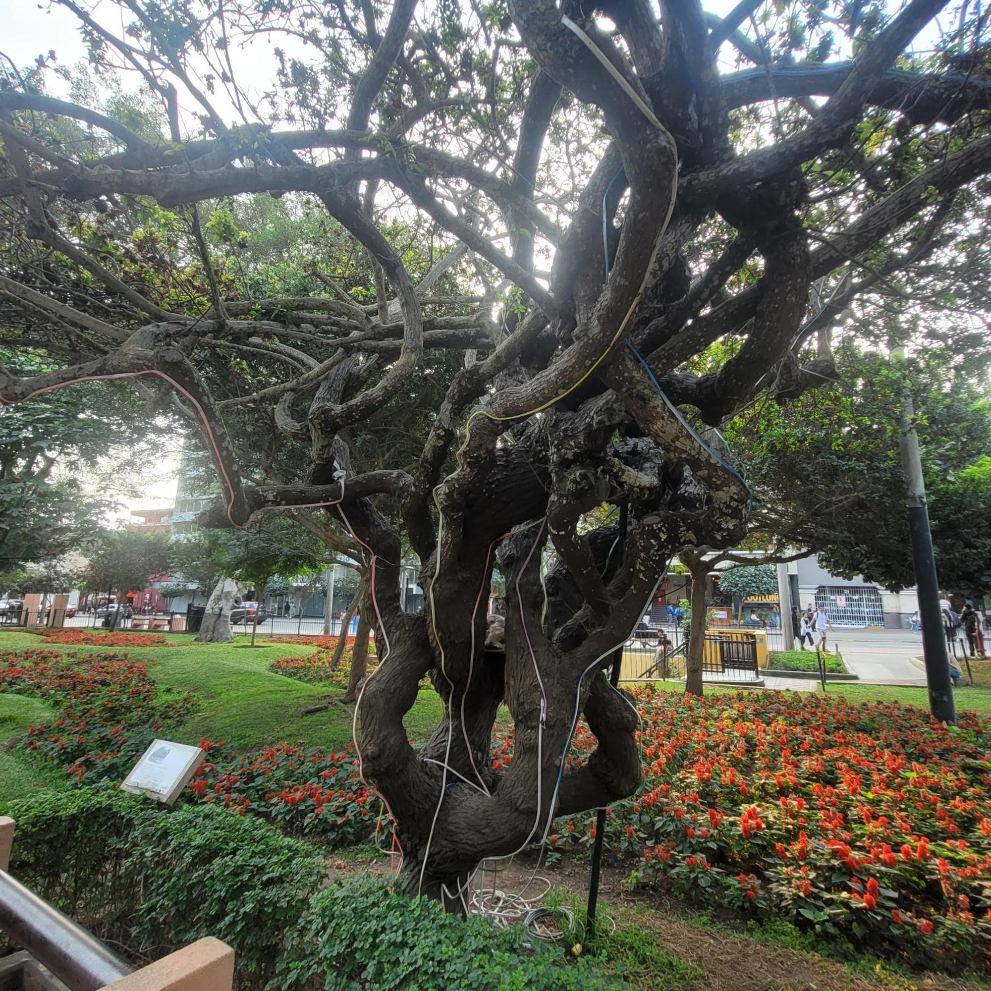 The 1 At The Booming Center Of Miraflores, - Peru Apartamento *